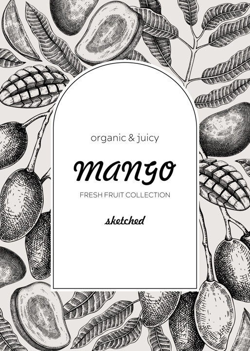 Fruit design template. Realistic mango hand-drawn vector illustration. Mango fruit, tree branches, leaves sketches. Vintage frame, juice packaging, print. Healthy food, summer design element